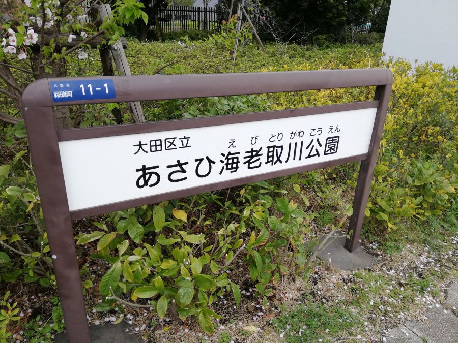 あさひ海老取川公園