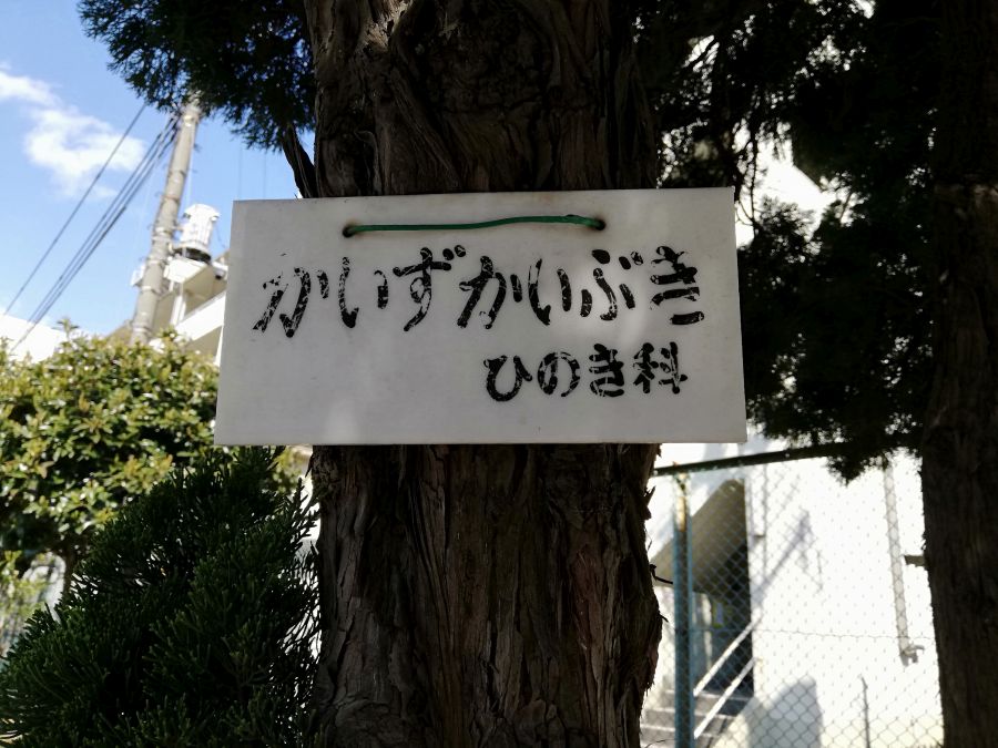 本羽田第三公園 木