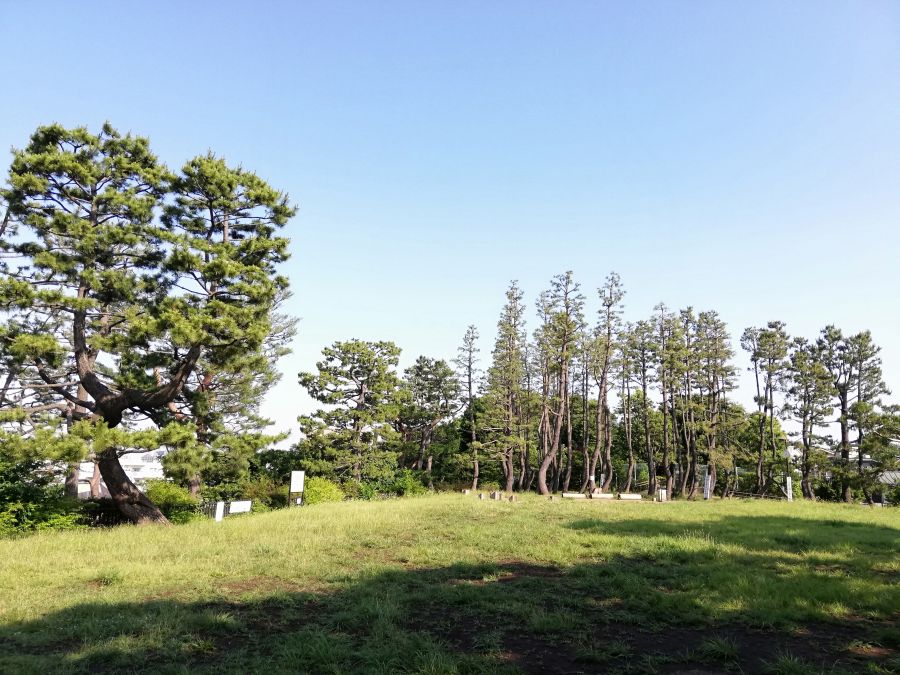 鵜の木松山公園
